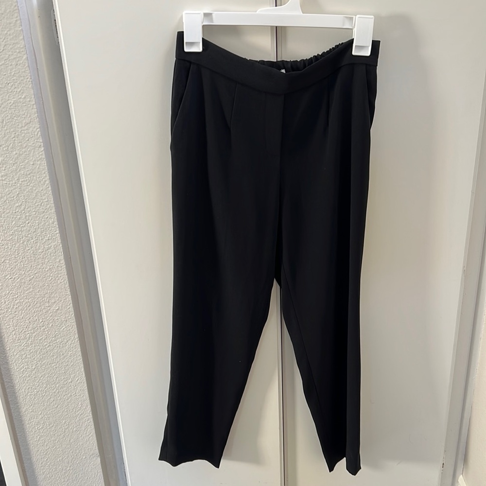 Aritzia Babaton pants